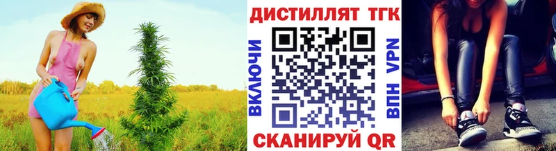 shop какой сайт  Муравленко  ТГК жижа 